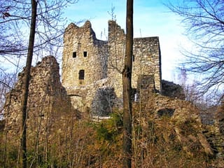 Burg Laubenbergerstein