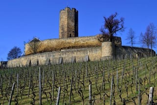 Steinsberg Castle