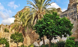 Muralla urbana de Marbella