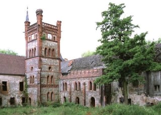 Castle Meadow Prudnicka