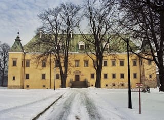 Castle in Spytko