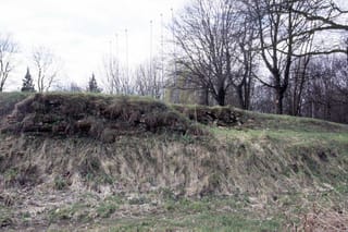 Castle in Wieruszów