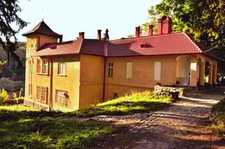 Goga castle in Ciucea