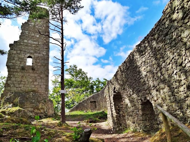 Burgruine Wildenfels