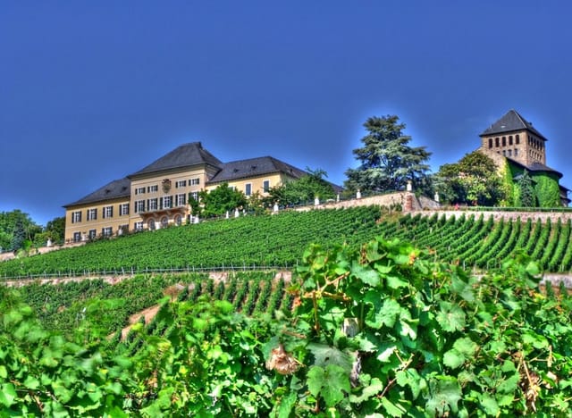 Schloss Johannisberg