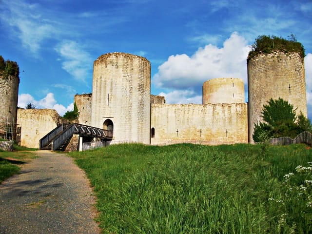 Château Coudray-Salbart