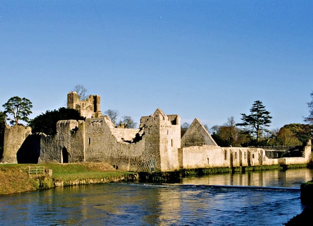 Desmond Castle