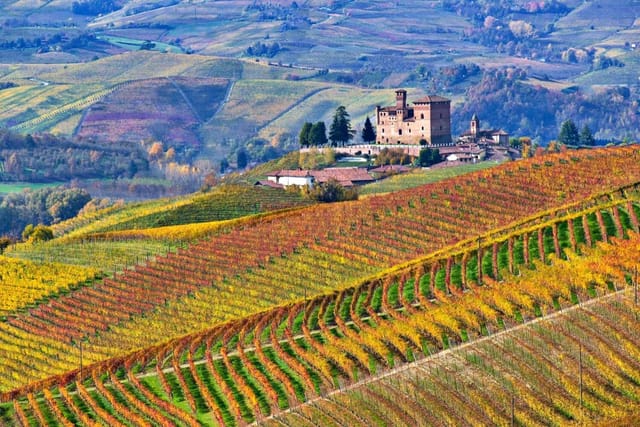 Castello di Grinzane Cavour