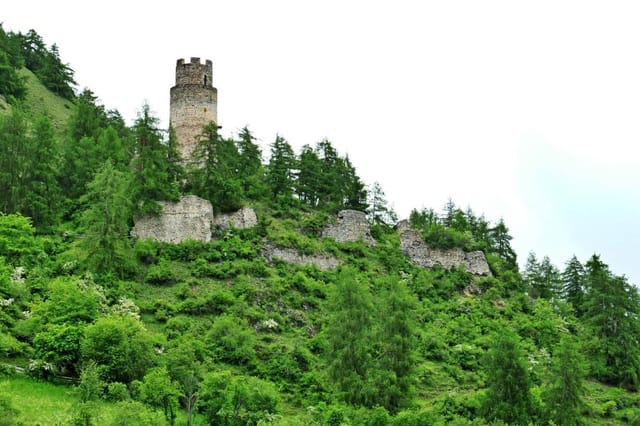 Reichenberg Castle