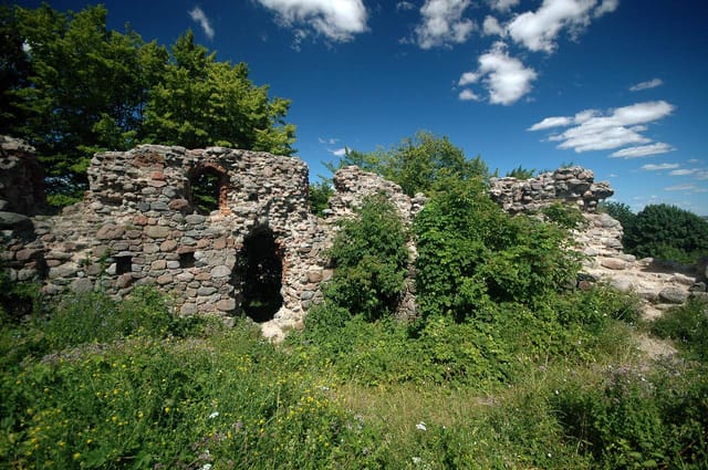 Castle in Kurzętnik