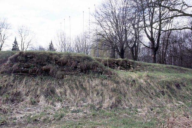 Castle in Wieruszów