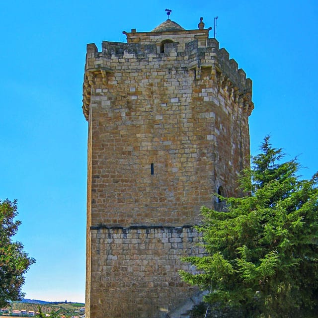 Castle of Freixo de Espada-à-Cinta