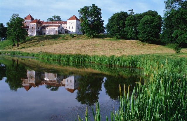 Svirzhsky castle